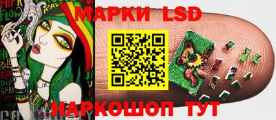 амф Гатчина