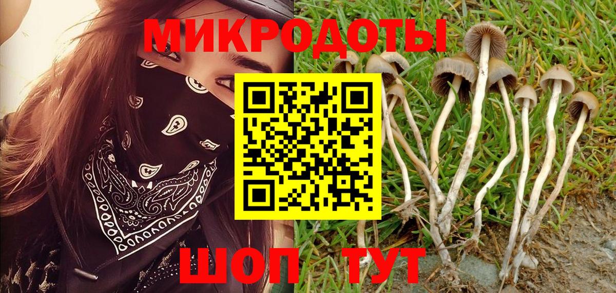 Нефтеюганск  Псилоцибиновые грибы GOLDEN TEACHER  Вход с VPN 